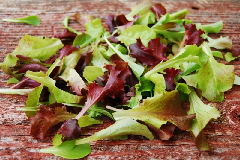 lettuce-mix-23